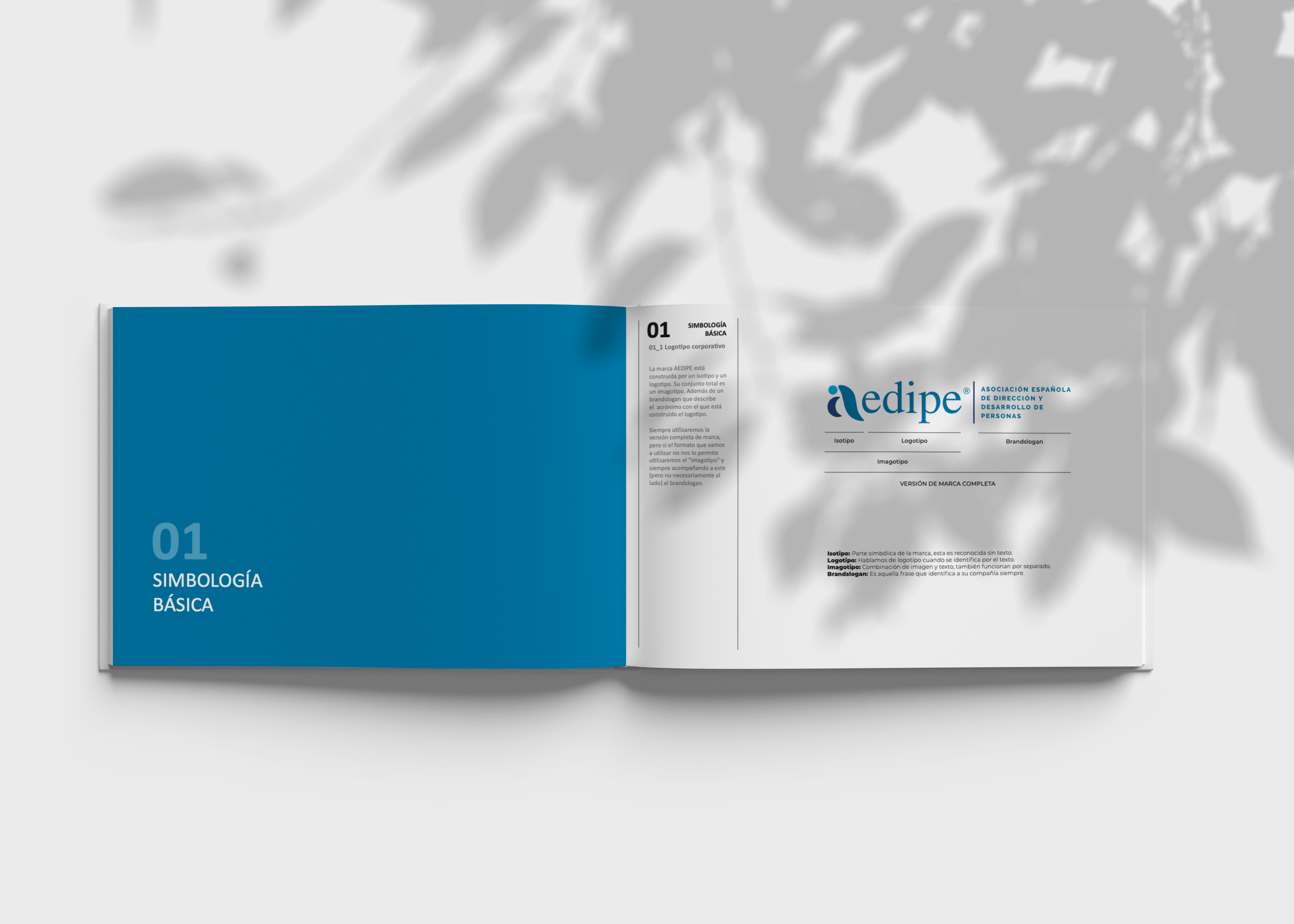 Manual de marca AEDIPE